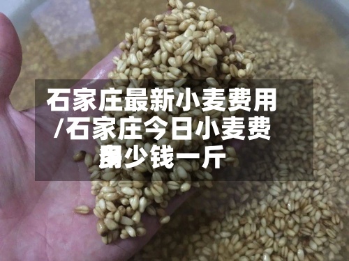 石家庄最新小麦费用
/石家庄今日小麦费用
多少钱一斤-第3张图片