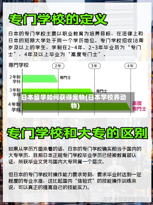 日本留学如何获得宠物(日本学校养动物)-第3张图片