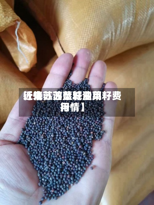 近来
【江苏油菜籽费用
行情江苏盐城油菜籽费用
行情】-第2张图片