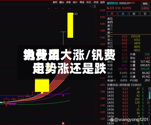 钒费用
为什么大涨/钒费用
走势涨还是跌-第2张图片