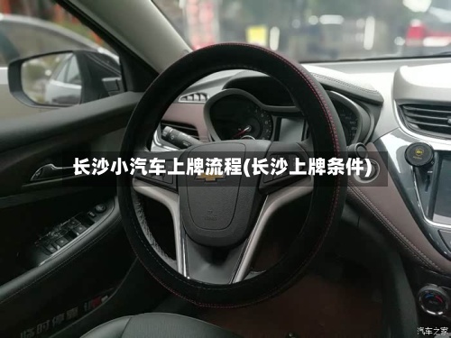 长沙小汽车上牌流程(长沙上牌条件)