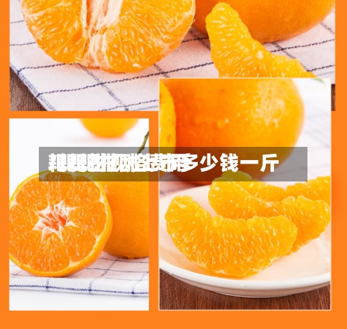 耙耙柑规格费用/耙耙柑刚上市多少钱一斤