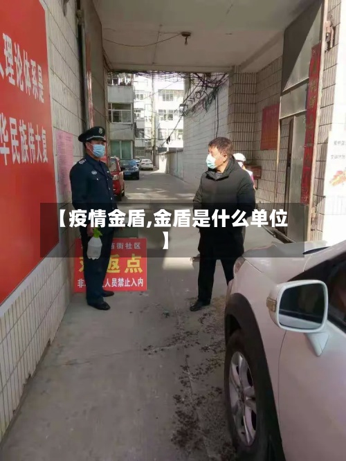 【疫情金盾,金盾是什么单位】-第3张图片