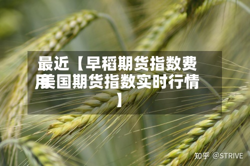 最近【早稻期货指数费用
,美国期货指数实时行情】-第2张图片