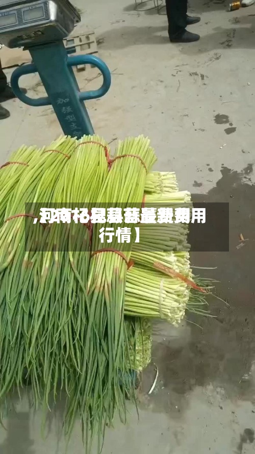 【2016杞县蒜薹费用
,河南杞县蒜苔最新费用
行情】-第2张图片