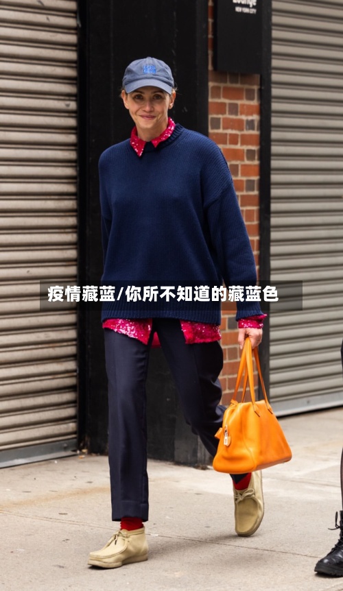 疫情藏蓝/你所不知道的藏蓝色