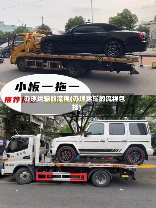 办理运输的流程(办理运输的流程包括)