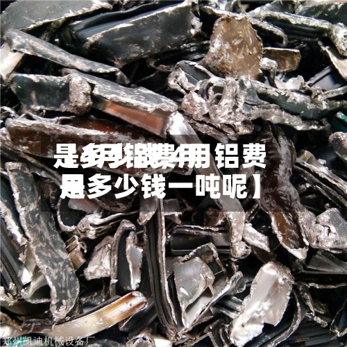 【4月铝费用
是多少钱,4月铝费用
是多少钱一吨呢】-第2张图片