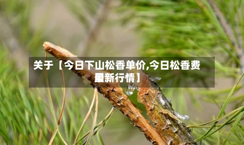 关于【今日下山松香单价,今日松香费用最新行情】