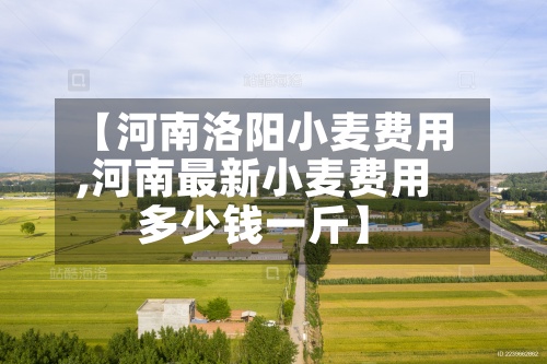 【河南洛阳小麦费用
,河南最新小麦费用
多少钱一斤】-第2张图片