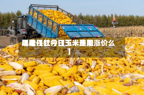 近来
【牡丹江今日玉米费用
黑龙江牡丹江玉米还能涨价么】-第2张图片