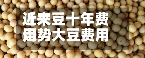 近来
【大豆十年费用
走势大豆费用
年行情走势】-第2张图片
