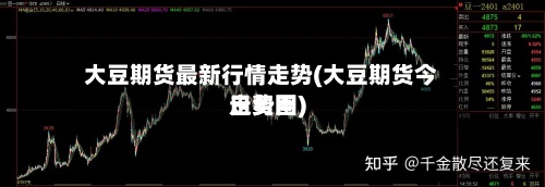 大豆期货最新行情走势(大豆期货今日费用
走势图)-第2张图片