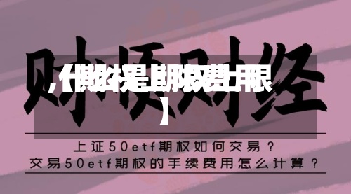 【期权上限费用,什么是期权上限】