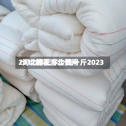 2017棉花河北费用
/河北棉花多少钱一斤2023-第2张图片