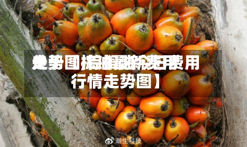 关于【棕油最新费用走势图,棕榈油今日费用行情走势图】-第3张图片