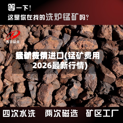 锰矿费用最新行情进口(锰矿费用2026最新行情)-第2张图片