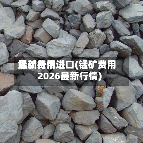 锰矿费用最新行情进口(锰矿费用2026最新行情)