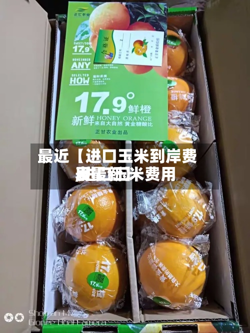 最近【进口玉米到岸费用
,进口玉米费用
表最新】-第2张图片