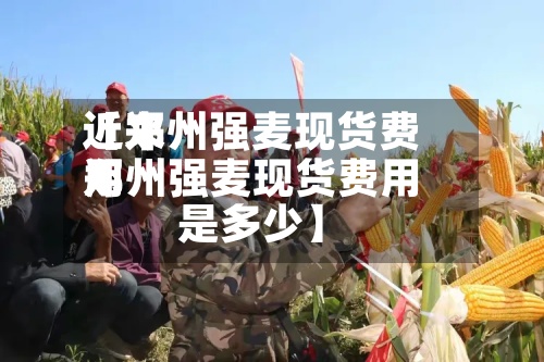 近来【郑州强麦现货费用郑州强麦现货费用是多少】