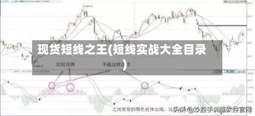 现货短线之王(短线实战大全目录)-第2张图片