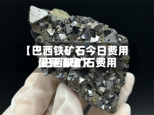 【巴西铁矿石今日费用,巴西铁矿石费用最新消息】-第2张图片