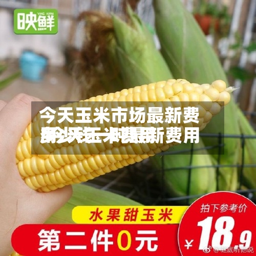 今天玉米市场最新费用/今天玉米费用多少钱一吨最新费用