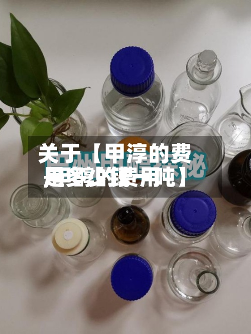 关于【甲淳的费用,甲醇的费用是多少钱一吨】