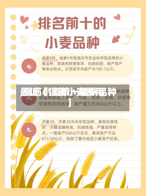 最近【强筋小麦费用,强筋小麦第一梯队品种】-第2张图片