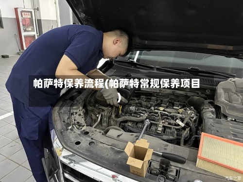 帕萨特保养流程(帕萨特常规保养项目)-第2张图片
