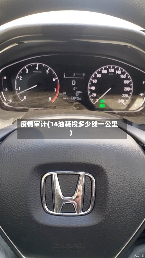 疫情审计(14油耗投多少钱一公里)