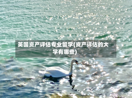 英国资产评估专业留学(资产评估的大学有哪些)-第2张图片