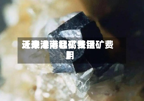 近来
【天津港锰矿费用
天津港南非高铁锰矿费用
】-第3张图片