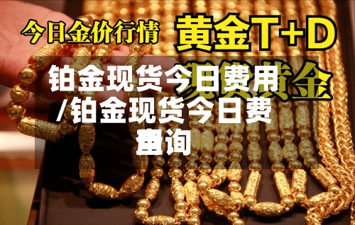 铂金现货今日费用/铂金现货今日费用查询