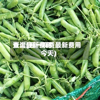 豆二最新费用查询(豆一现货最新费用今天)