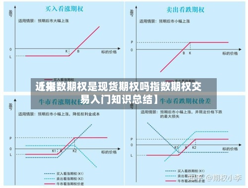 近来
【指数期权是现货期权吗指数期权交易入门知识总结】-第2张图片
