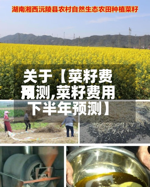 关于【菜籽费用预测,菜籽费用下半年预测】-第3张图片