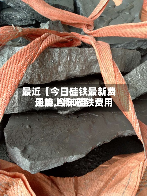 最近【今日硅铁最新费用走势,今年硅铁费用还能上涨吗】