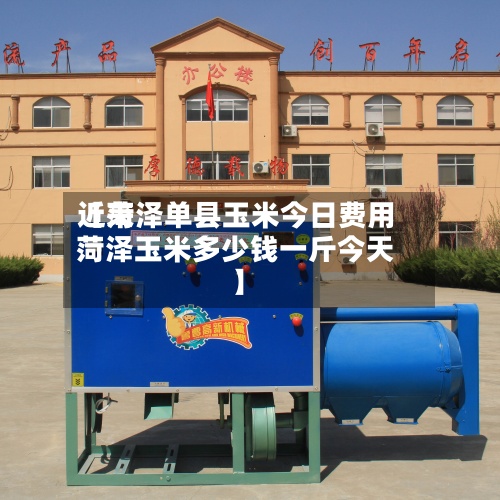 近来【菏泽单县玉米今日费用菏泽玉米多少钱一斤今天】