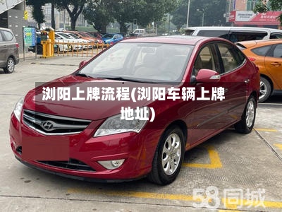 浏阳上牌流程(浏阳车辆上牌地址)