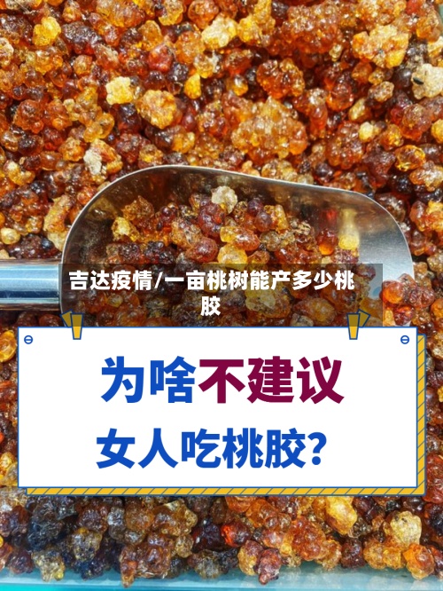 吉达疫情/一亩桃树能产多少桃胶