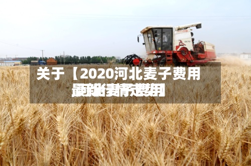 关于【2020河北麦子费用,河北麦子费用最新行情走势】
