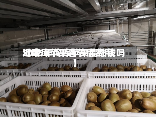 近来【冷库苹果春节后费用2025年冷库苹果能涨钱吗】-第2张图片