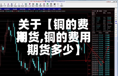 关于【铜的费用
期货,铜的费用
期货多少】-第2张图片