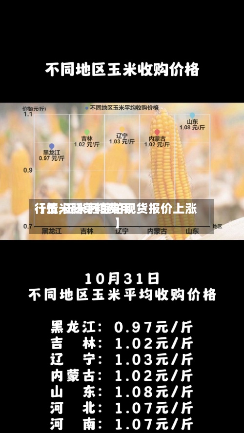 【玉米胚芽粕费用行情,玉米胚芽粕现货报价上涨】