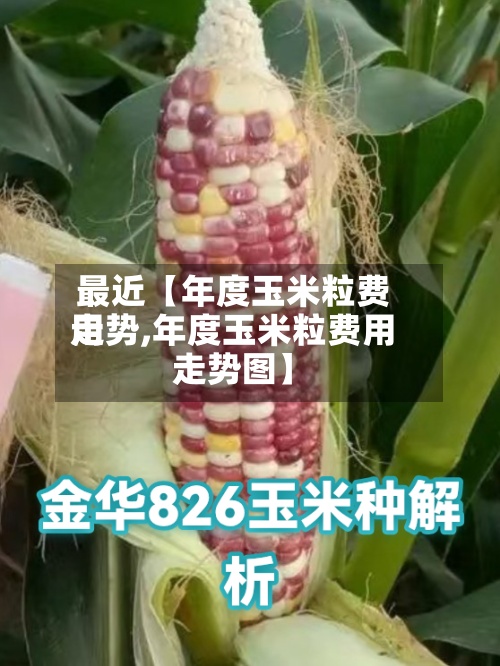 最近【年度玉米粒费用走势,年度玉米粒费用走势图】