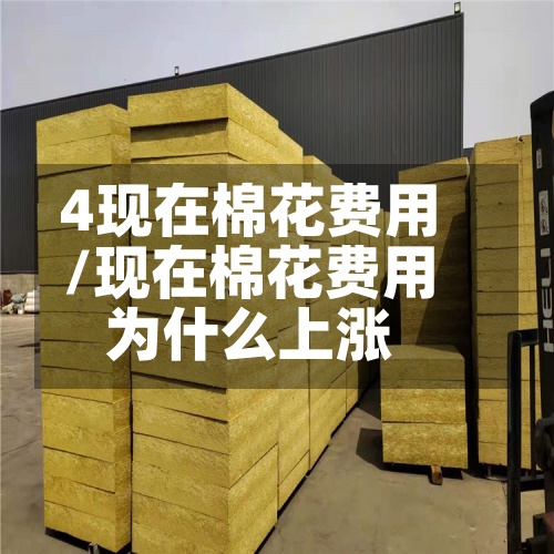 4现在棉花费用/现在棉花费用为什么上涨