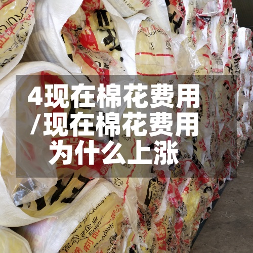 4现在棉花费用
/现在棉花费用
为什么上涨-第2张图片