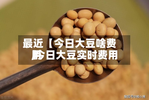 最近【今日大豆啥费用
,今日大豆实时费用
】-第2张图片