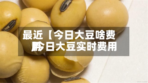 最近【今日大豆啥费用
,今日大豆实时费用
】-第3张图片